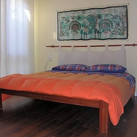 Undici